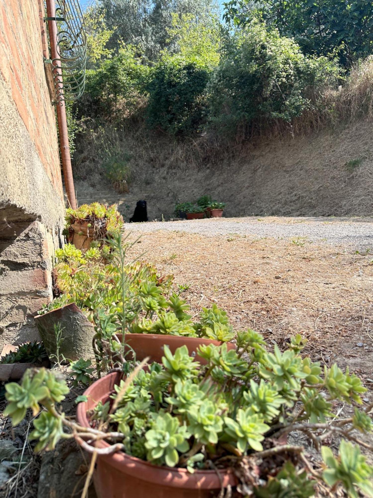 agriturismo san biagio Villa Montepulciano Stazione Exterior foto