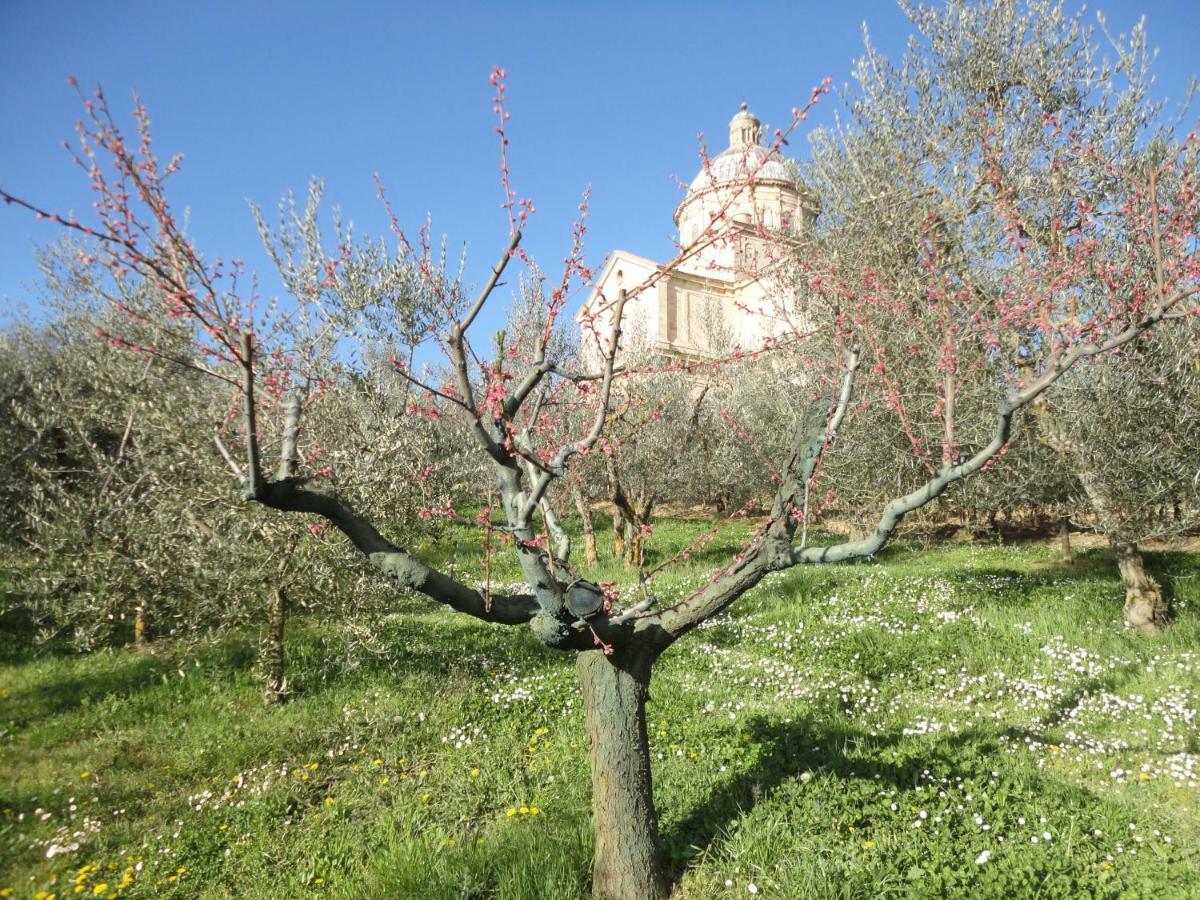 agriturismo san biagio Villa Montepulciano Stazione Exterior foto